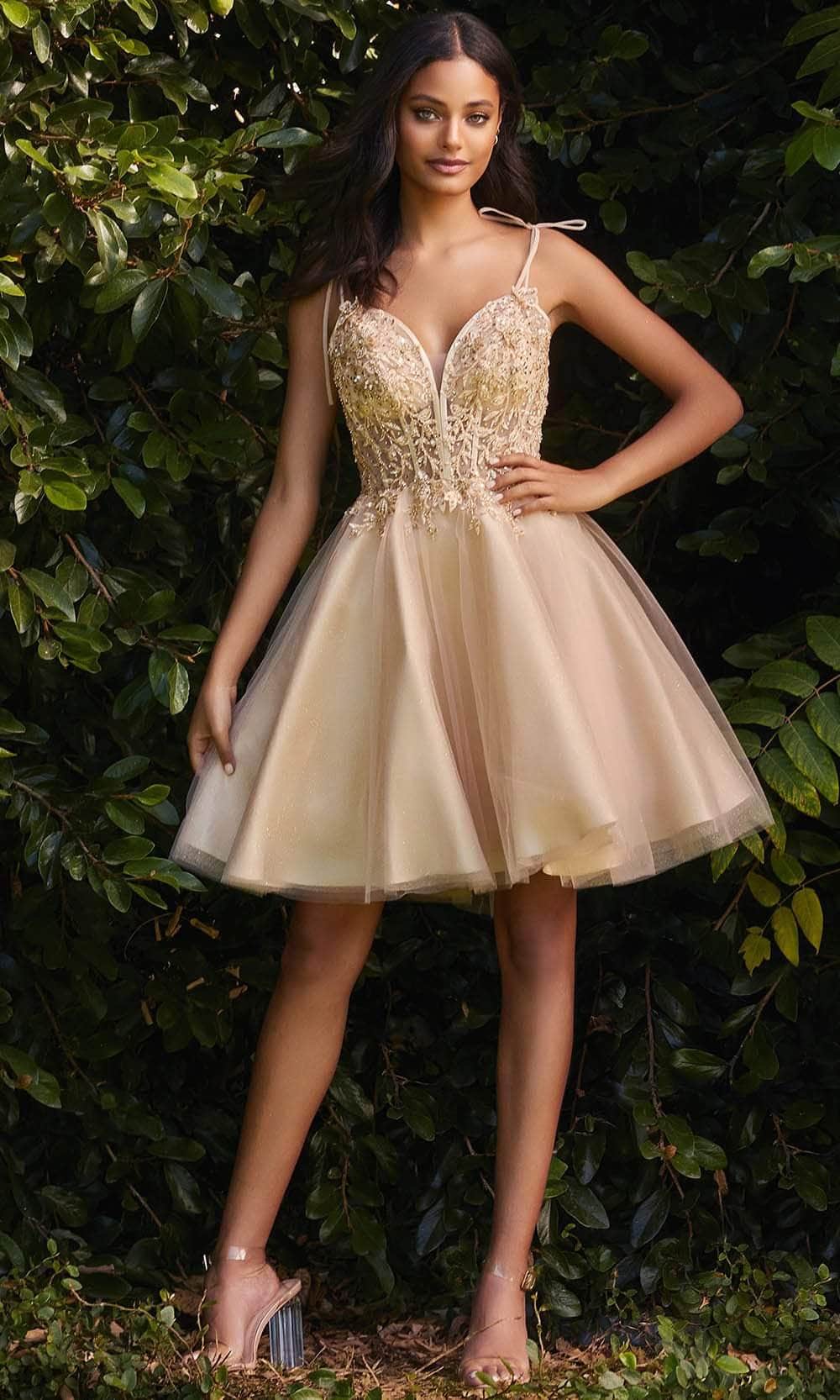 Ladivine CD0188 - Corset Applique Lace Prom Dress - Champagne / XS - Prom