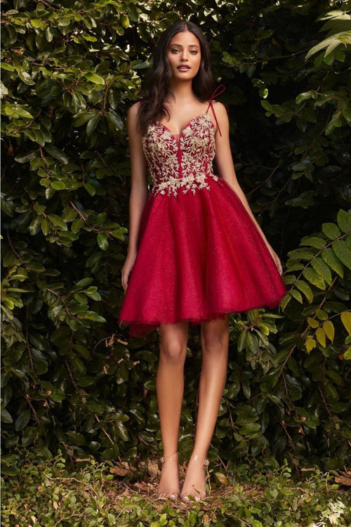 Ladivine CD0188 Sleeveless Lace Applique Glitter Birthday Dress - BURGUNDY-GOLD / XS - Dress