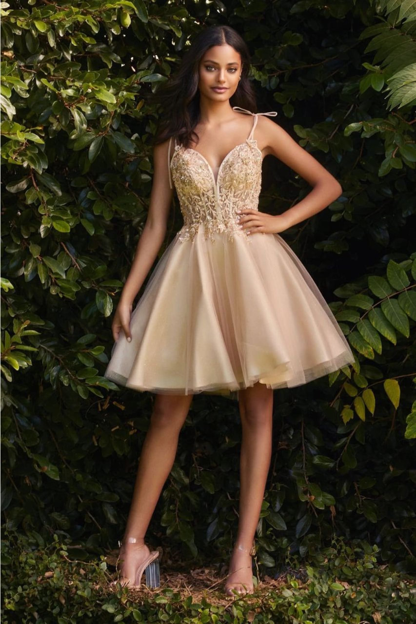 Ladivine CD0188 Sleeveless Lace Applique Glitter Birthday Dress - CHAMPAGNE / XS - Dress