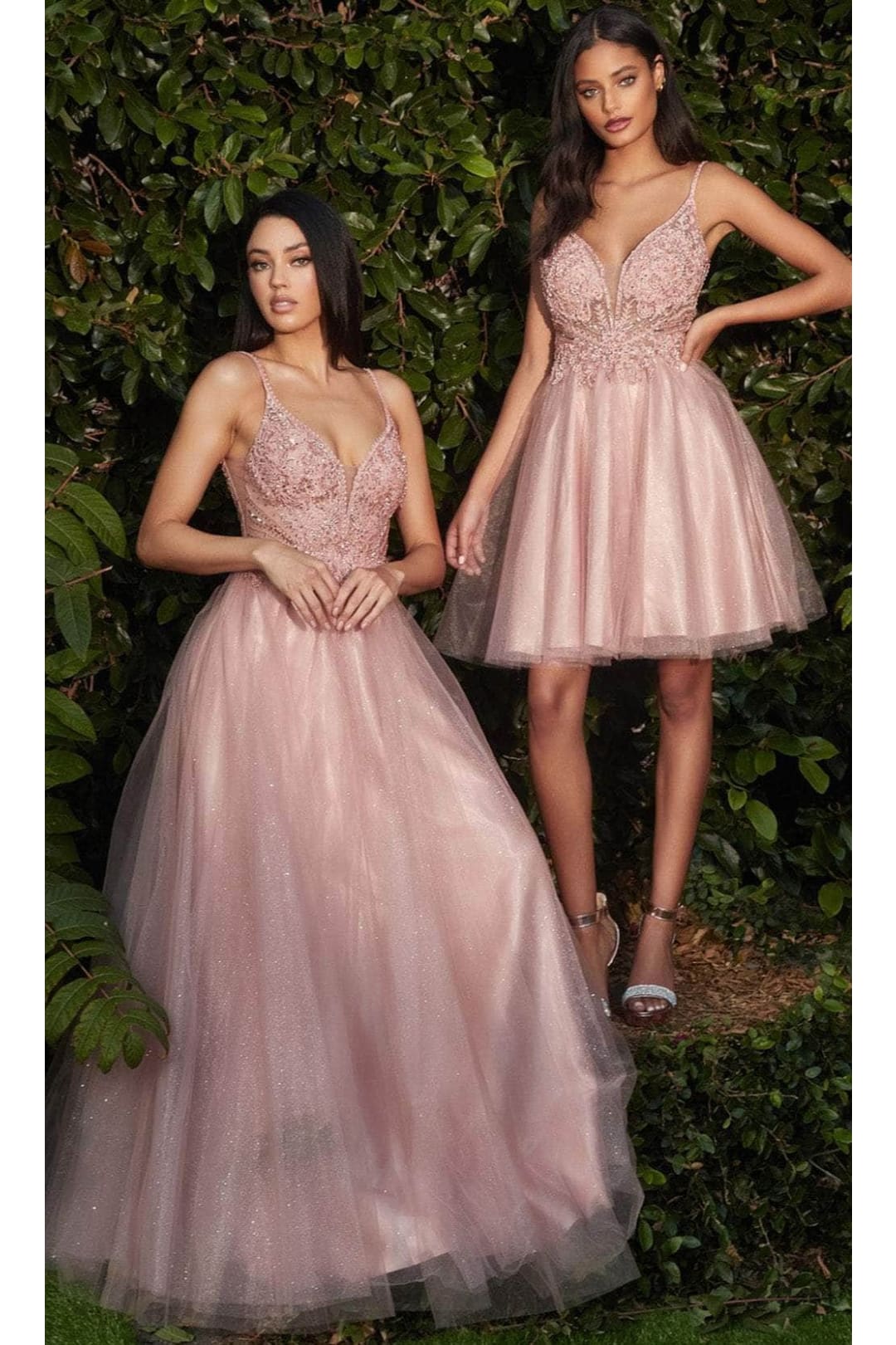 Ladivine CD0195 - Adorned Lace Tulle Prom Evening Dress - Prom
