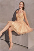 Ladivine CD0213 Spaghetti Strap A-line Birthday Party Dress - Dress