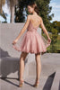 Ladivine CD0213 Spaghetti Strap A-line Birthday Party Dress - Dress