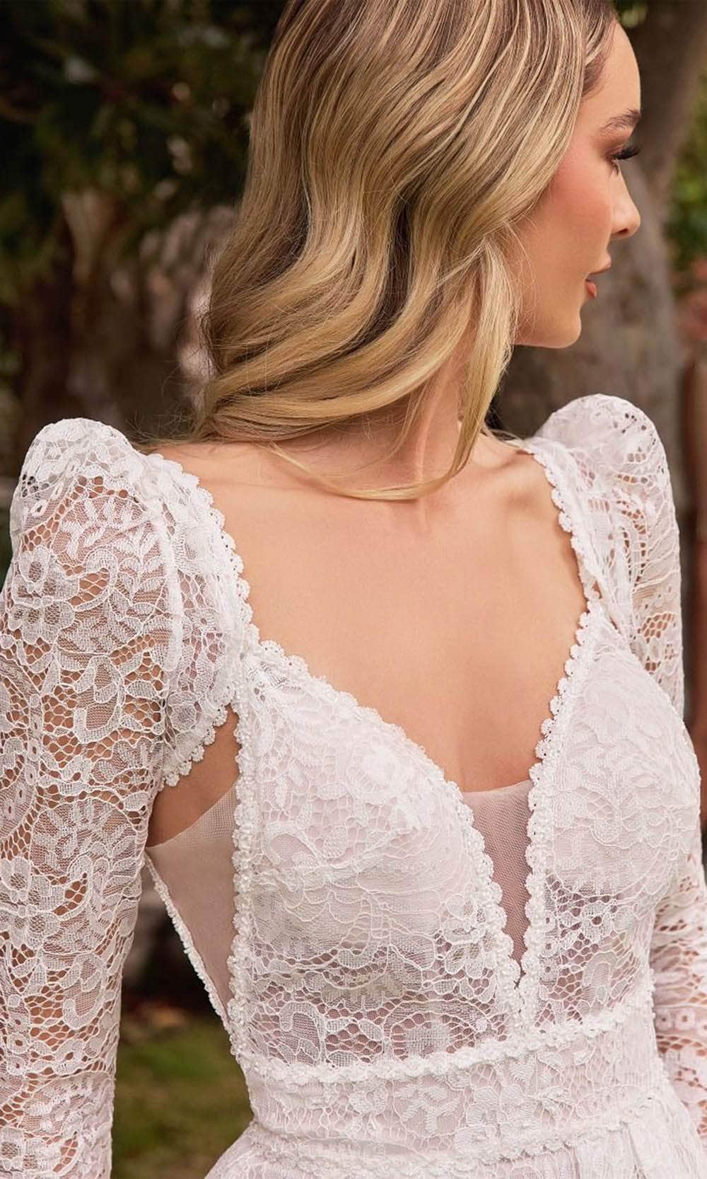 Ladivine CD862W - V-Neck Lace Bridal Gown - Prom