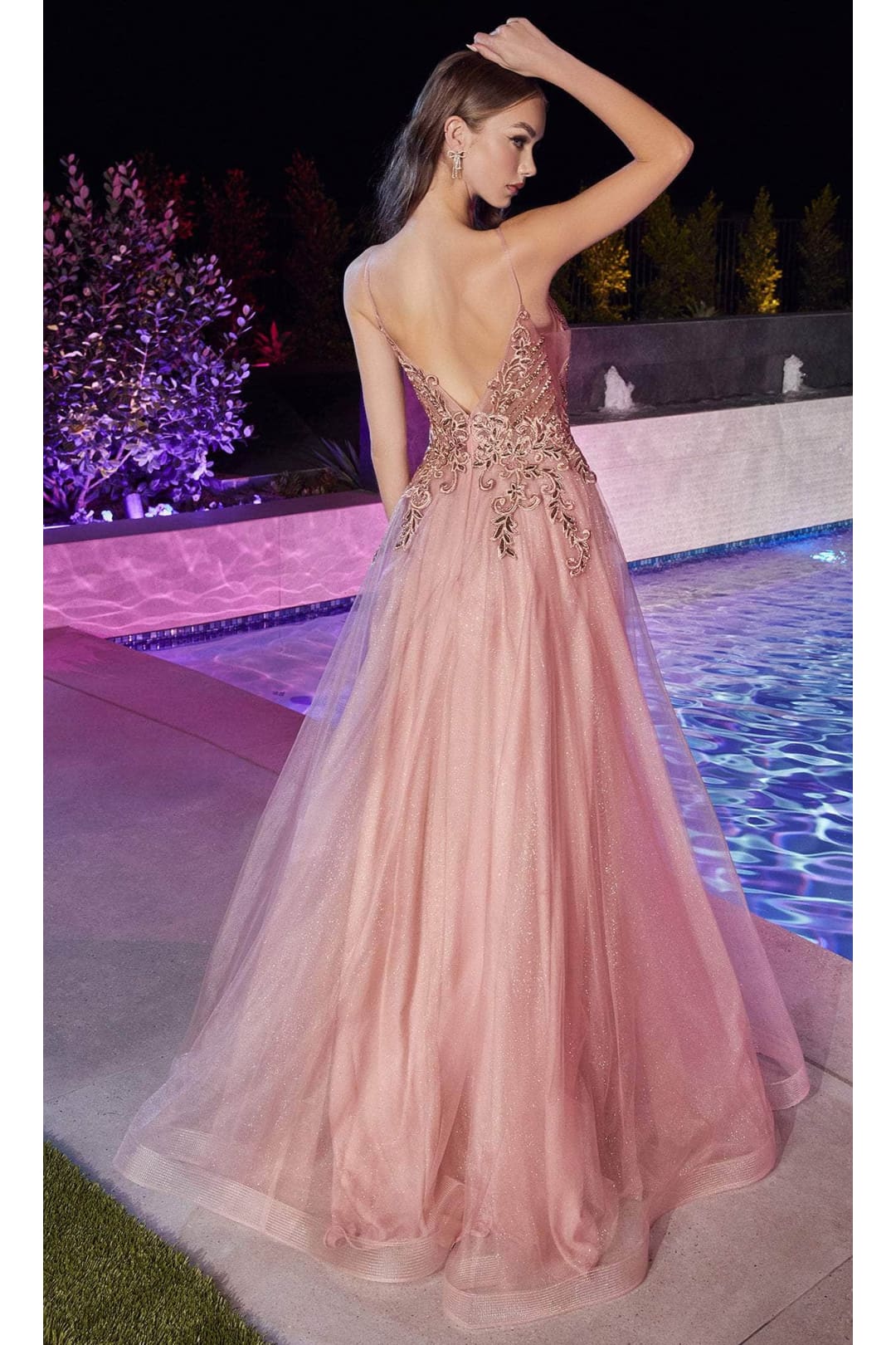 Ladivine CD874 - Applique Tulle Classic Prom Dress - Prom