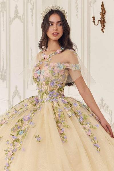 Ladivine Embroidered Quinceanera Dresses | Ball Gowns for Sweet 16 Birthdays -New Collection