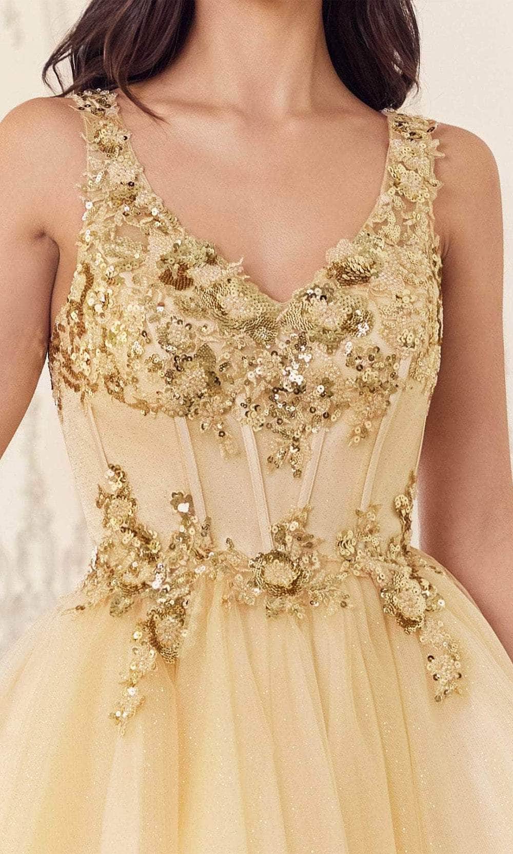Ladivine CY019 - Applique Corset Cocktail Dress - Prom