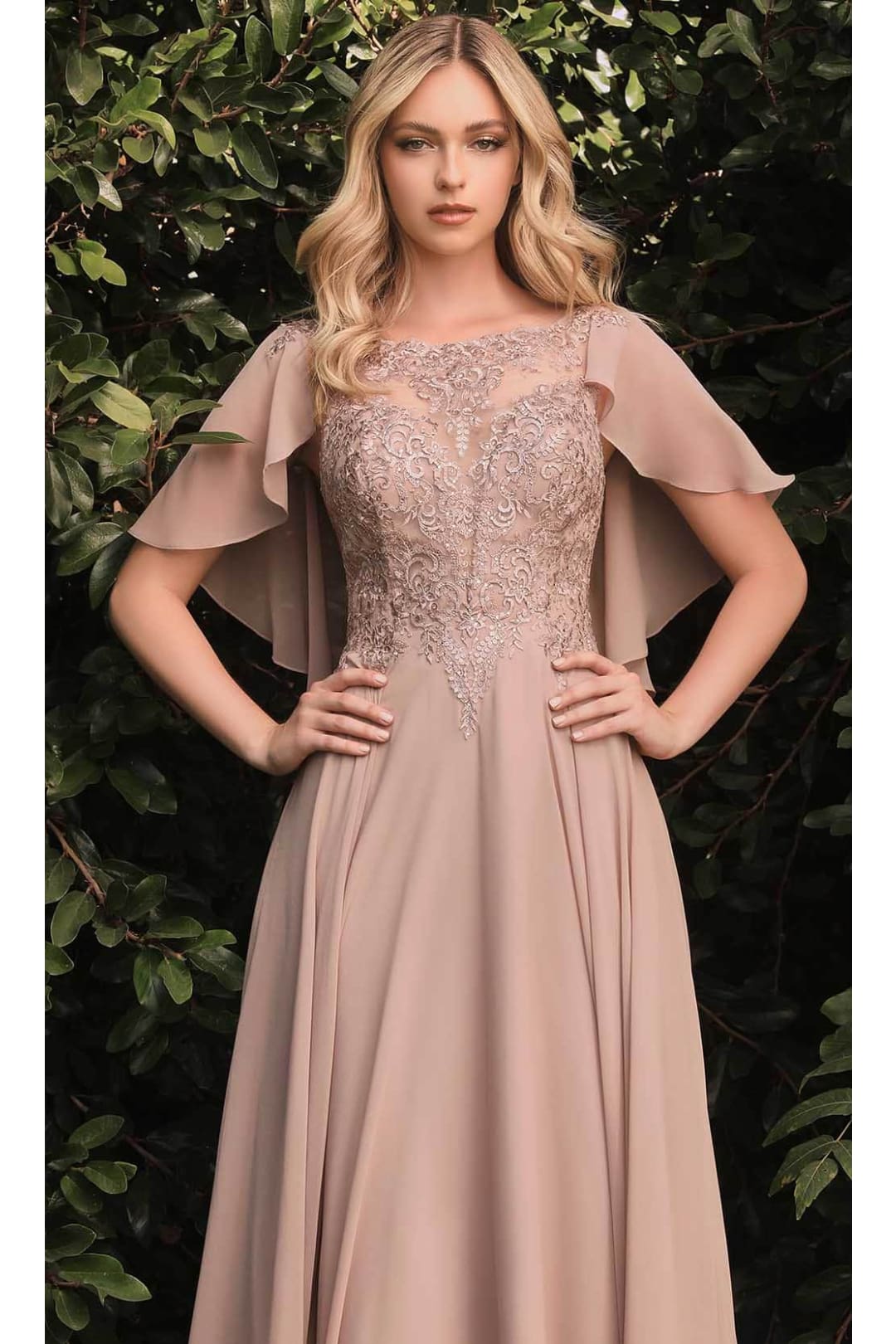 Ladivine HT101 – Chiffon Formal Dress with Illusion Neckline - Prom