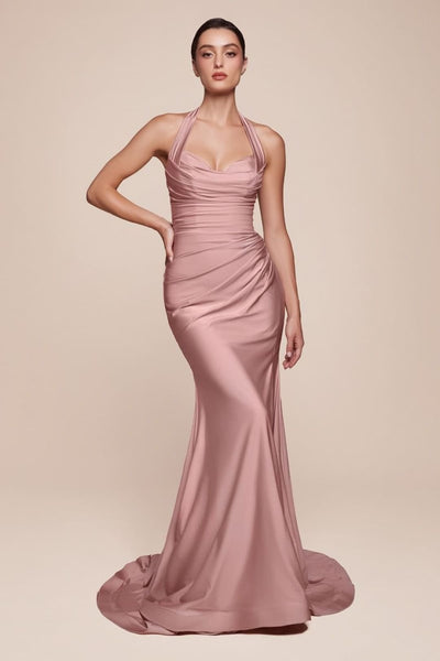 Ladivine Prom Dress Long Formal Evening Gown CD796 - DUSTY ROSE / 2 - Prom