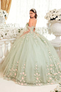 Ladivine Sage Quinceanera Dress Ball Gown Sweet 16 by 15716 - Quinceanera Dresses