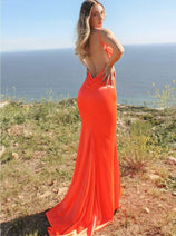 Sorority Formal Dress For Rush By Ladivine SE016 Long Outfit