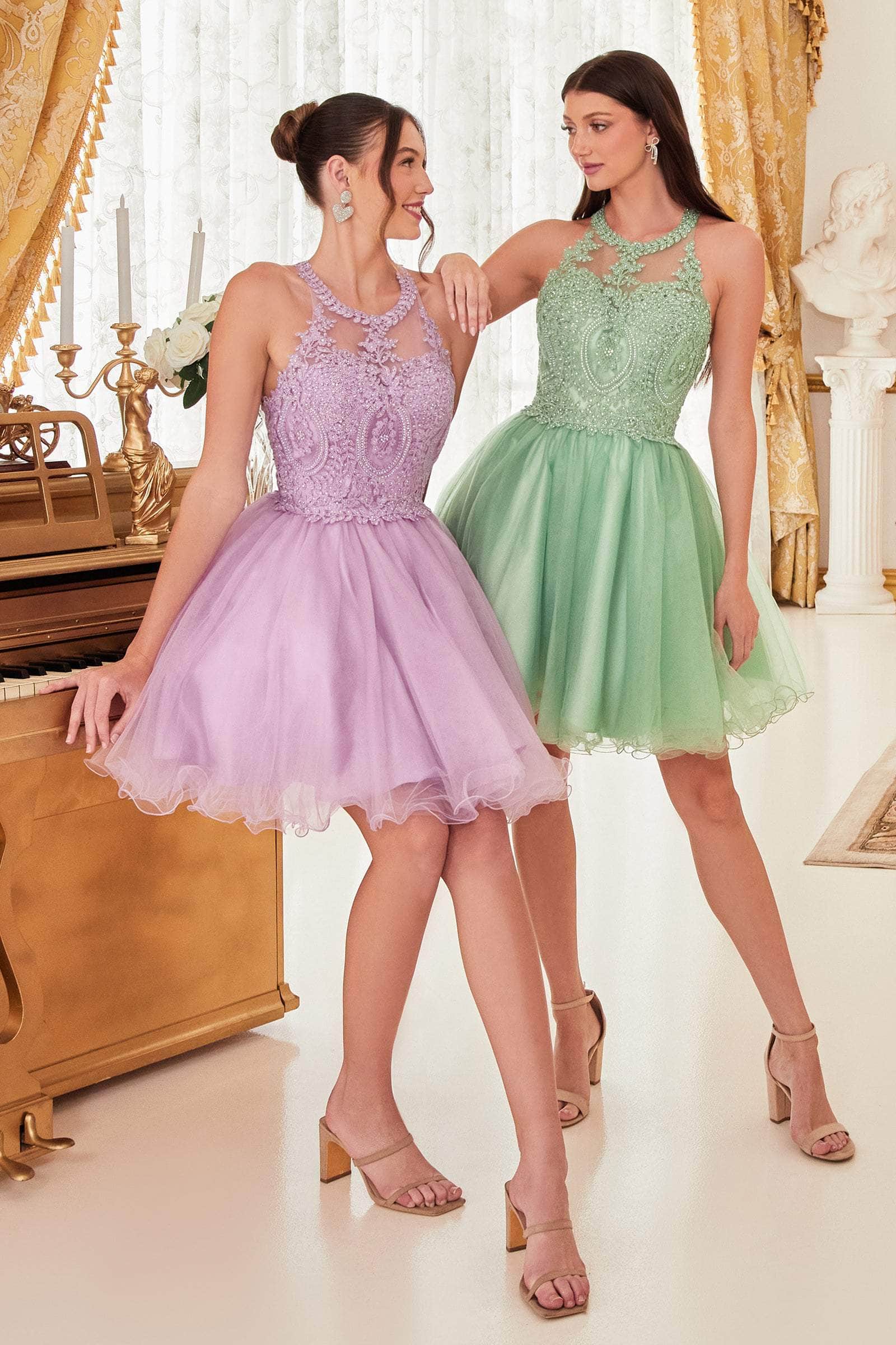 Ladivine UJ0119 - Lace Appliqued Strappy Short Dress - Prom
