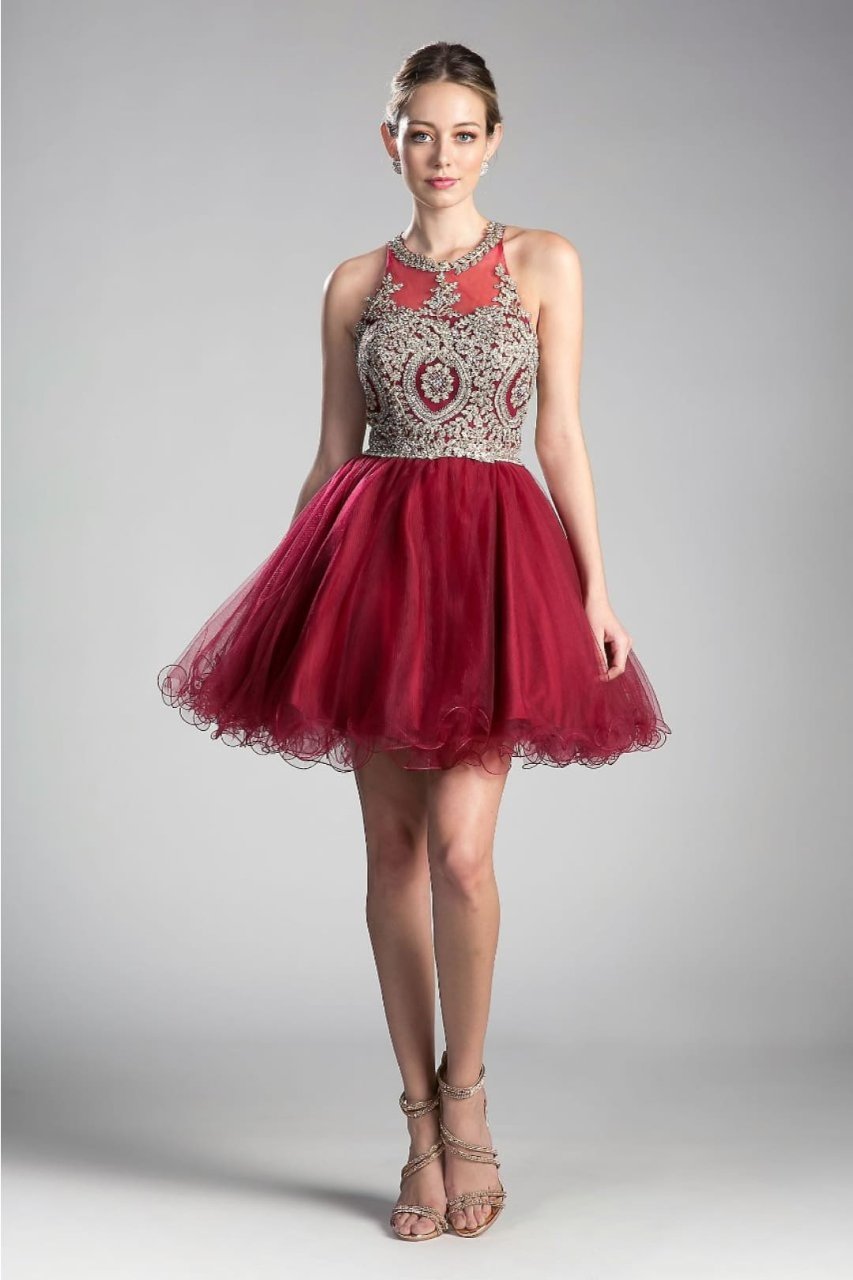 Ladivine UJ0119 Sleeveless Embellished Lace Cocktail Dress - BURGUNDY-GOLD / XXS - Dress