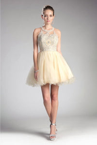 Ladivine UJ0119 Sleeveless Embellished Lace Cocktail Dress - CHAMPAGNE / XXS - Dress