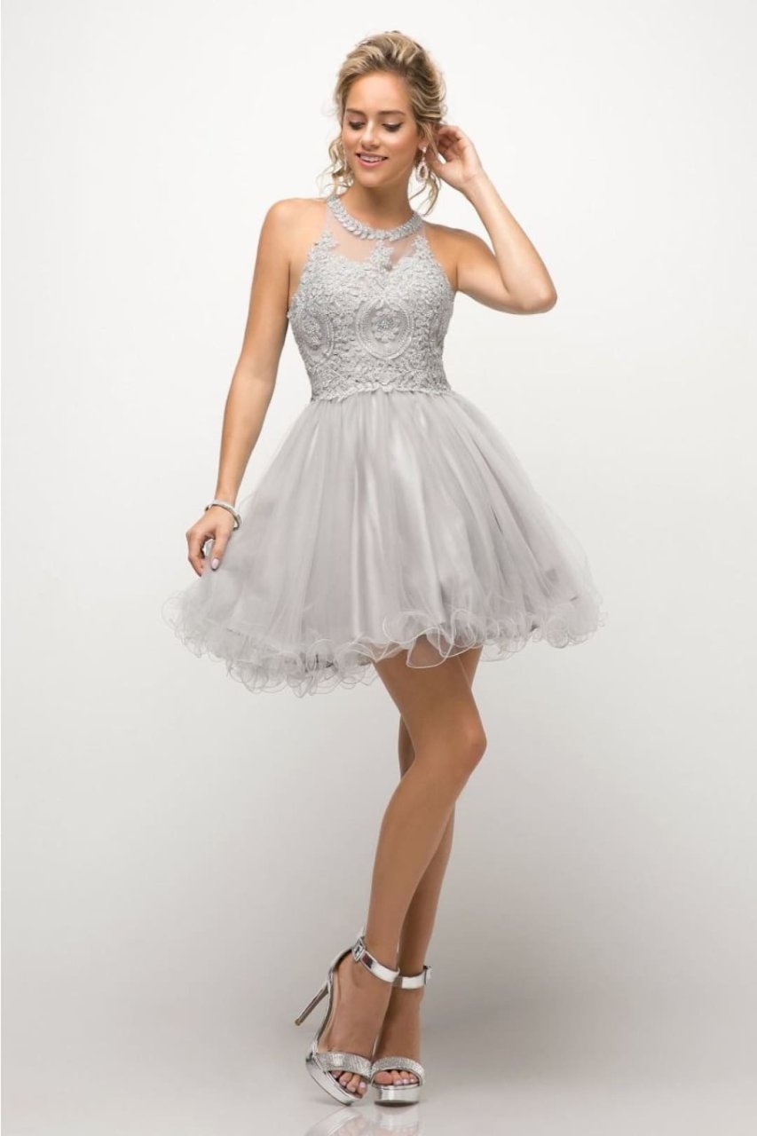 Ladivine UJ0119 Sleeveless Embellished Lace Cocktail Dress - SILVER / XXS - Dress