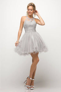 Ladivine UJ0119 Sleeveless Embellished Lace Cocktail Dress - SILVER / XXS - Dress