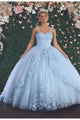 Floral Ball Quinceanera Gown - BABY BLUE / 4