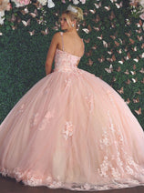 Laya K LK159 Sleeveless Glitter Floral Ball Quinceanera Gown