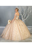 Princess Quinceanera Ball Gown And Plus Size