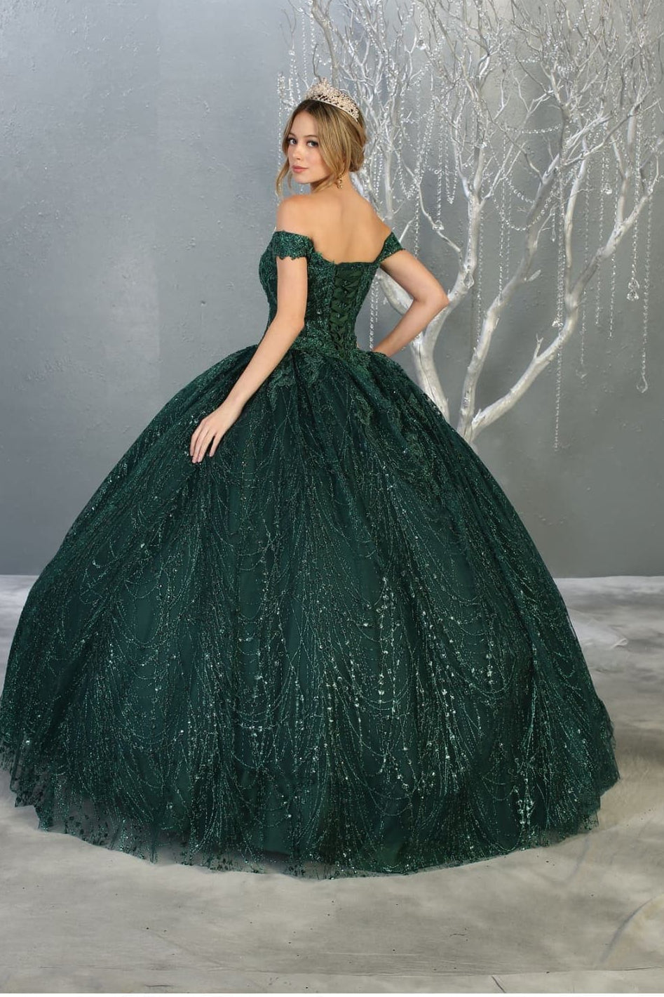 Formal Ball Quinceanera Gown And Plus Size