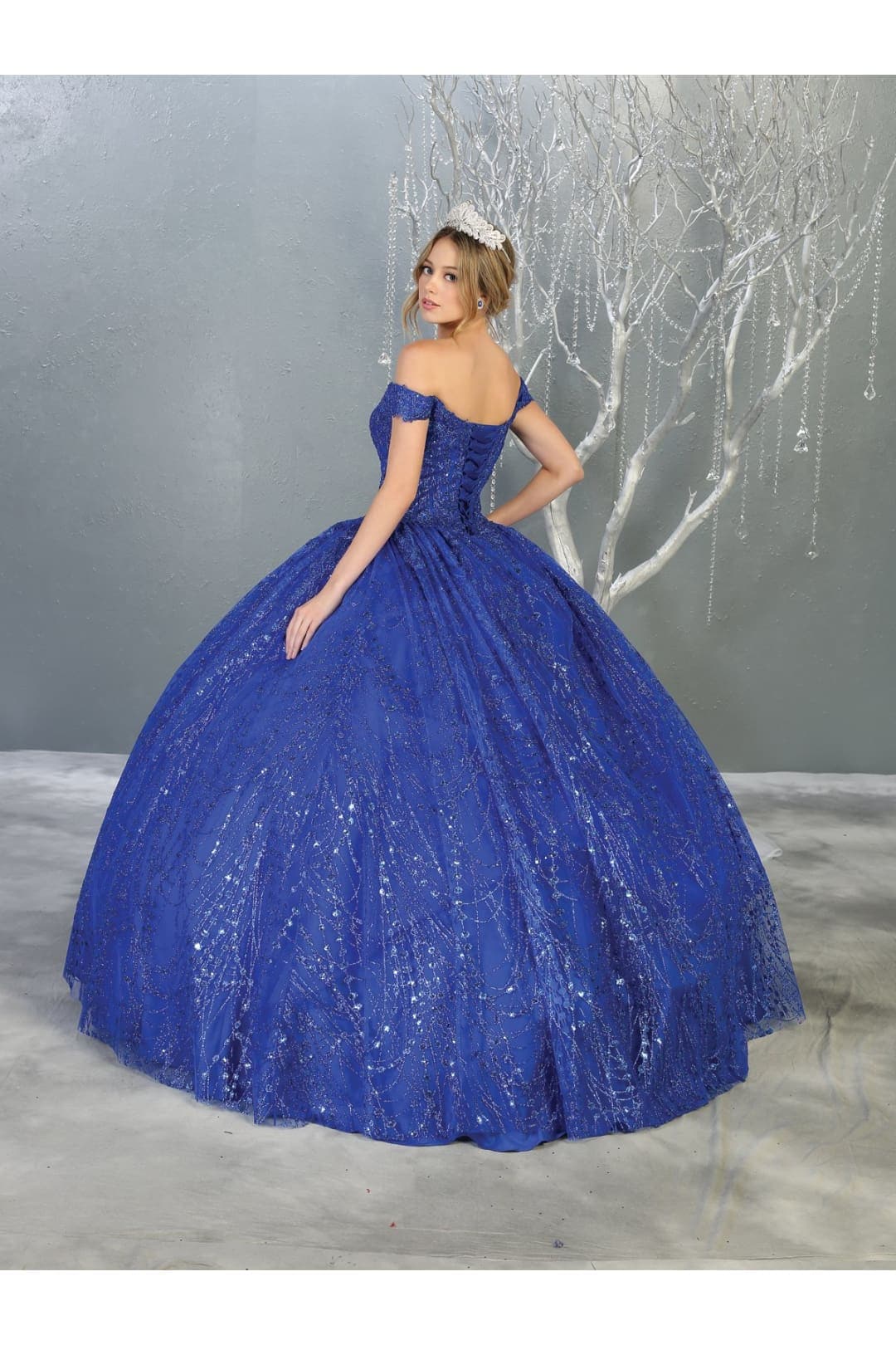 Formal Ball Quinceanera Gown And Plus Size