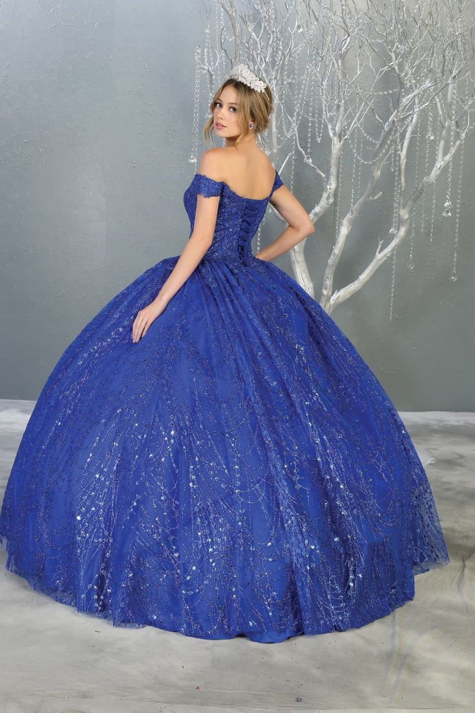Formal Ball Quinceanera Gown And Plus Size