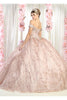 Formal Ball Quinceanera Gown And Plus Size