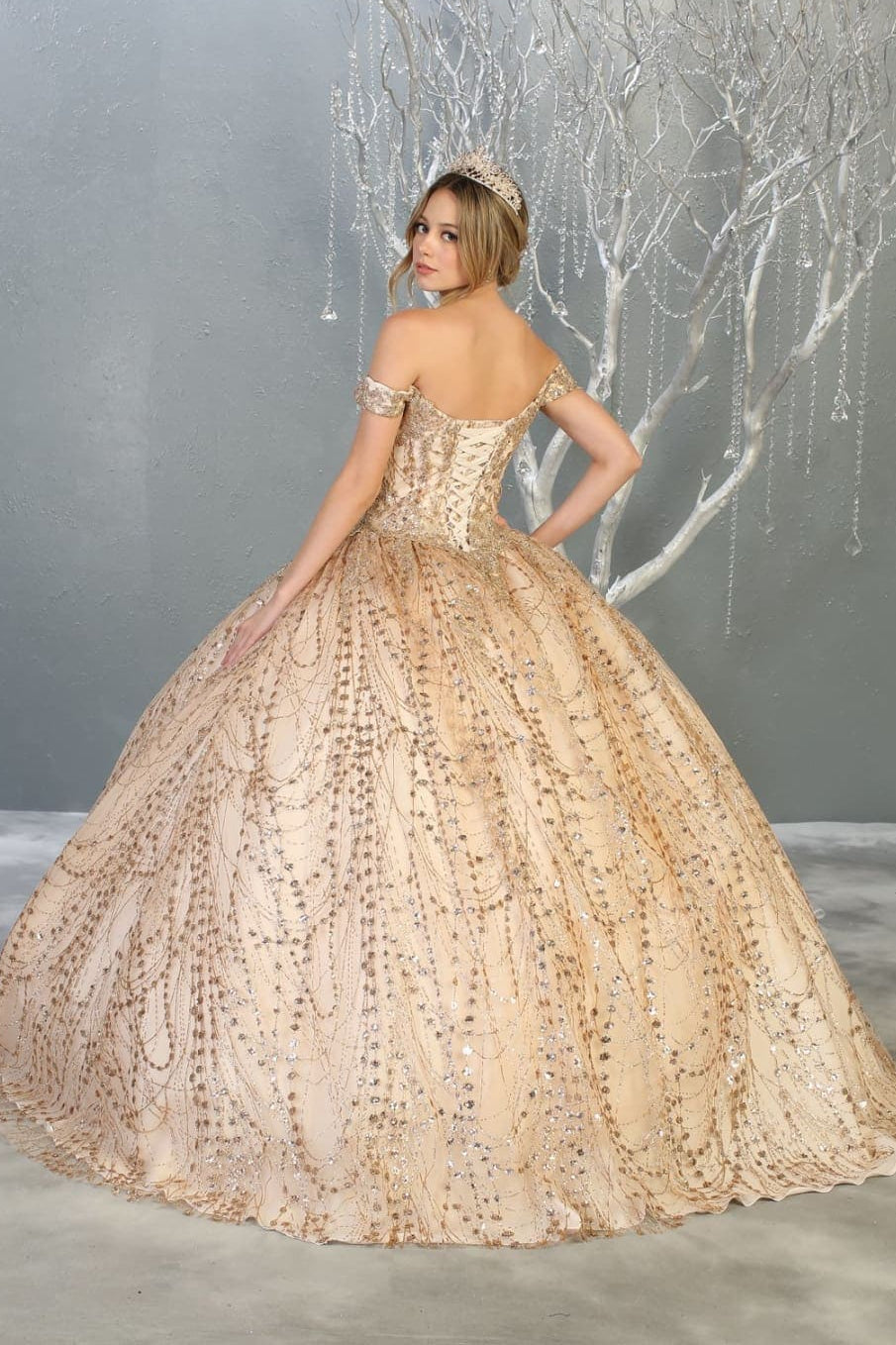Formal Ball Quinceanera Gown And Plus Size