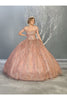 Formal Ball Quinceanera Gown And Plus Size - MAUVE / 4
