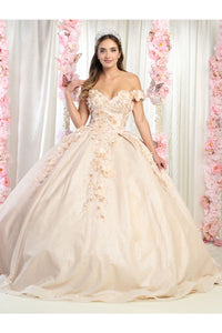 Off Shoulder Floral Quinceanera Ball Gown - CHAMPAGNE / 4