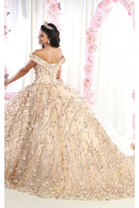 Ball Gown Plus Size