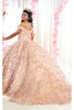 Ball Gown Plus Size