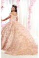 Ball Gown Plus Size