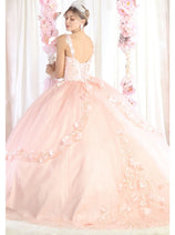Layla K LK177 Strapless Sweetheart Floral Applique Ball Gown