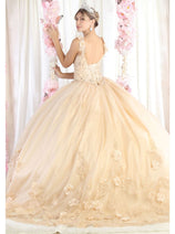 Layla K LK180 Corset Sleeveless Embroidered Quinceanera Ball Gown