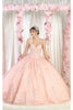 Layla K LK181 Embroidered Sleeveless Ball Gown - BLUSH / 4