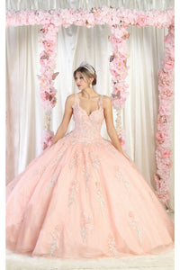 Layla K LK181 Embroidered Sleeveless Ball Gown - BLUSH / 4