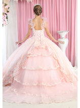 Layla K LK182 Embroidered Floral Pink Formal Quinceanera Ball Gown