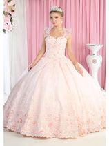 Layla K LK182 Embroidered Floral Pink Formal Quinceanera Ball Gown
