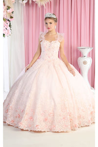 Layla K LK182 Sleeveless Floral Applique Ball Gown - BLUSH / 4