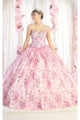 Layla K LK190 3D Floral Applique Ball Gown - BLUSH / 4