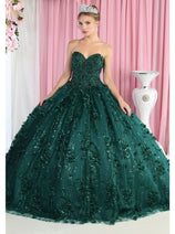 Layla K LK190 3D Floral Strapless Corset Quinceanera Ball Gown