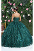 Layla K LK217 Sweetheart 3D Floral Corset Quinceanera Ball Gown - Dress