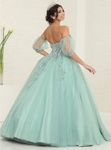 Quinceanera Dress Ball Gown Sweetheart Floral Princess Layla K LK237