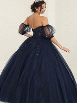Quinceanera Dress Ball Gown Sweetheart Floral Princess Layla K LK237
