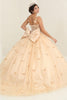 Layla K LK239 Glitter 3D Butterfly Bow Accent Quinceanera Gown - Dress