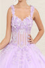 Layla K LK242 V-Neck 3D Butterfly Sheer Ball Sweet 16 Gown - Dress