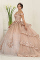 Layla K LK255 Champagne Off-Shoulder Quince Gown with Detachable Tail - Dress