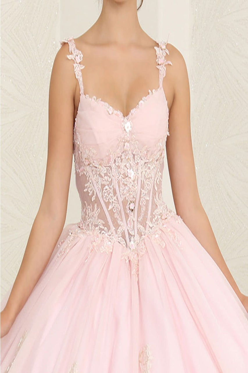 Layla K LK256 Sheer Bodice Floral Sleeveless Blush Quinceanera Gown - Dress