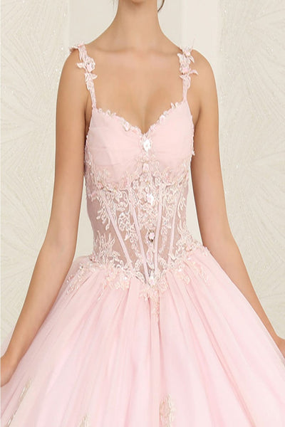Layla K LK256 Sheer Bodice Floral Sleeveless Blush Quinceanera Gown - Dress