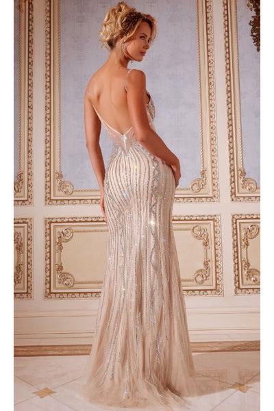 Long Prom Dress: Jovani 43221 - Prom